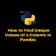 How to Find Unique Values of a Column in Pandas