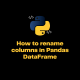 How to rename columns in Pandas DataFrame
