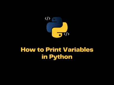 Python Print Variable